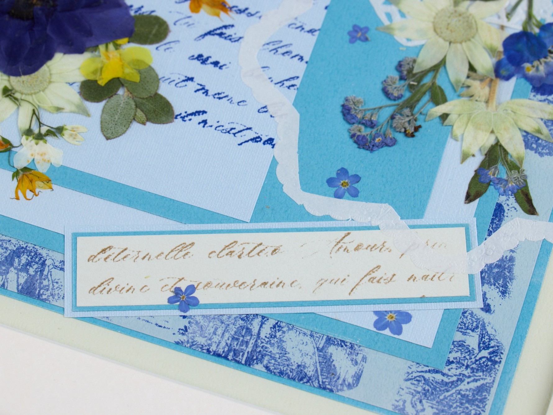 �}�C�N���X�p�T�u0521_0090.jpg