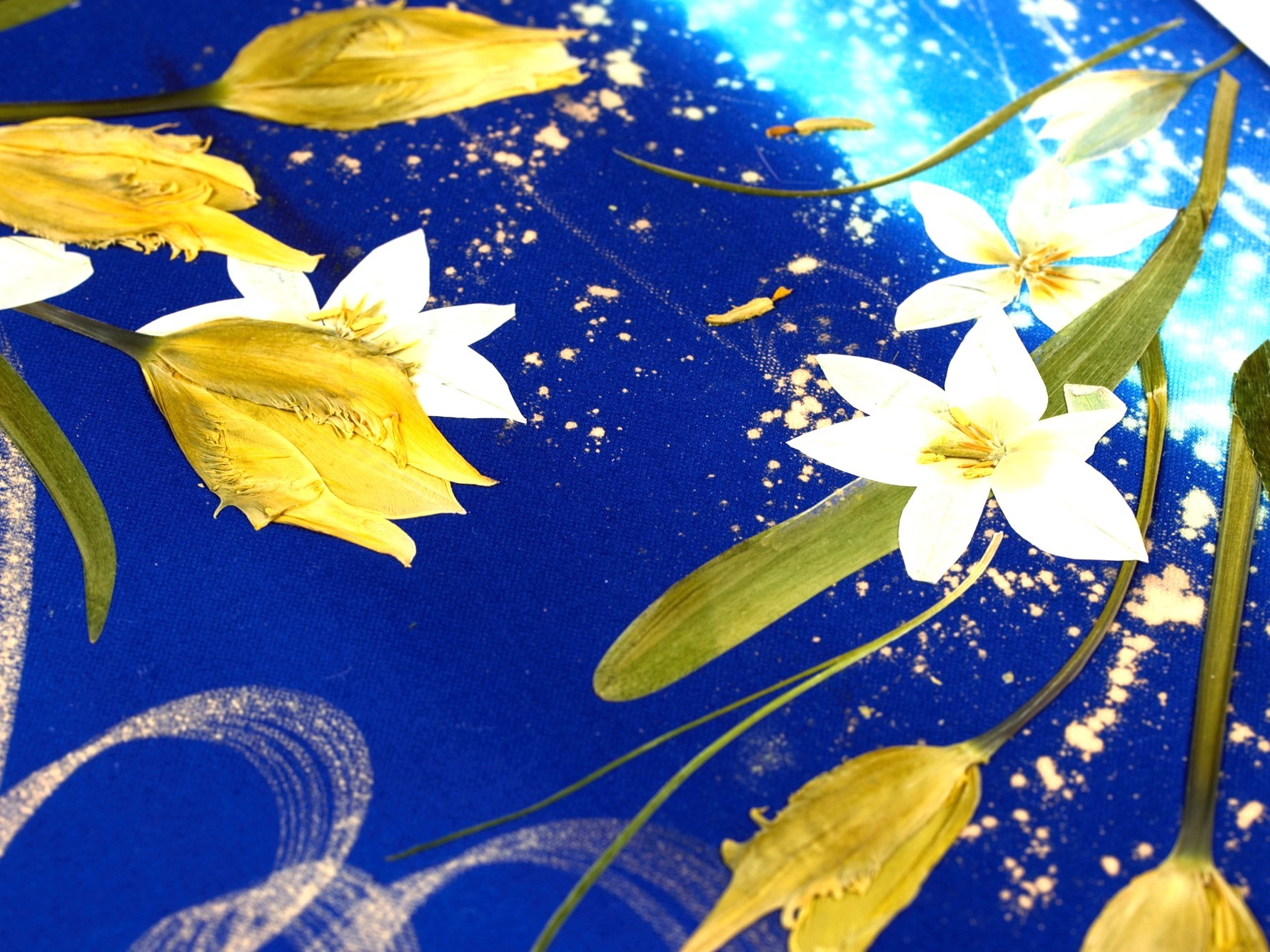 �}�C�N���X�T�u0209_0111.jpg