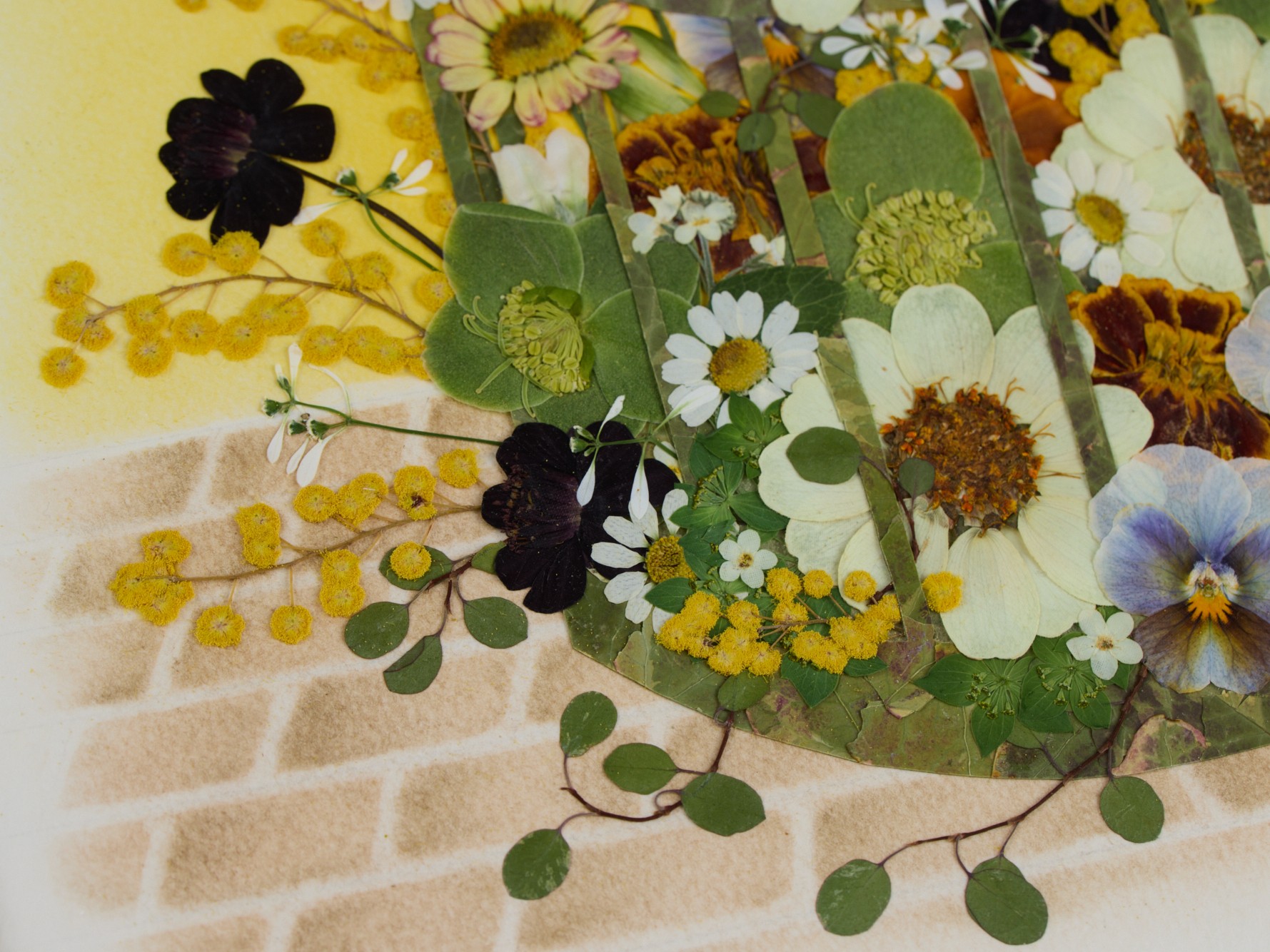�}�C�N���X�T�u0521_0078.jpg
